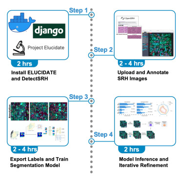 bhattacharya2025star_protocol_workflow.png